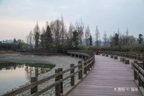 观音湖湿地公园