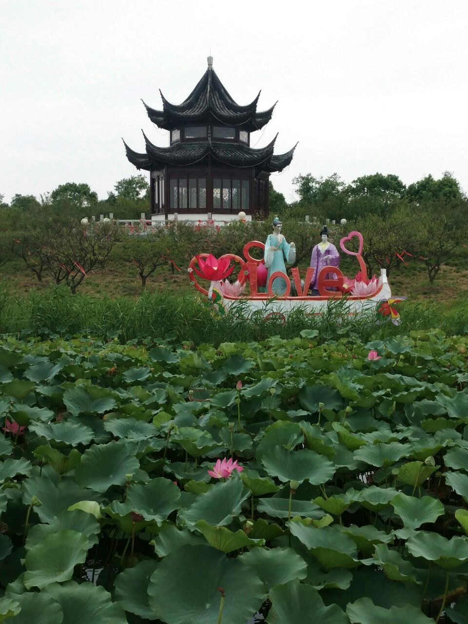 上海海湾国家森林公园旅游景点攻略图