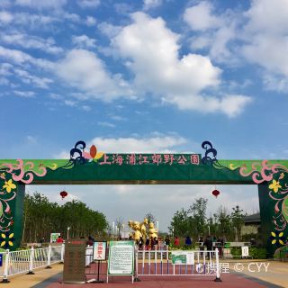 浦江郊野公园