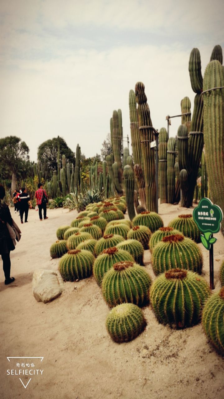 厦门园林植物园