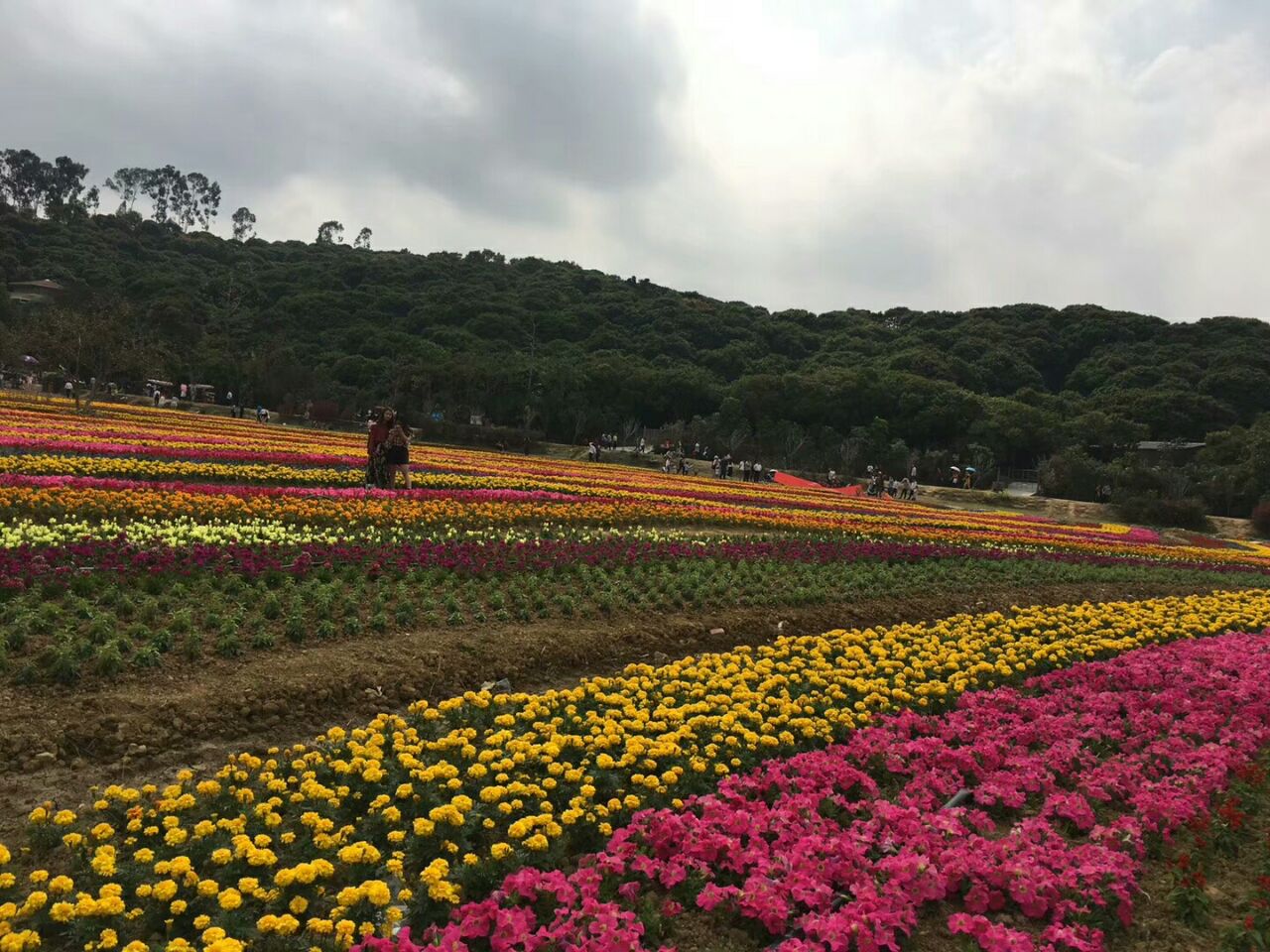 大王山森林公园