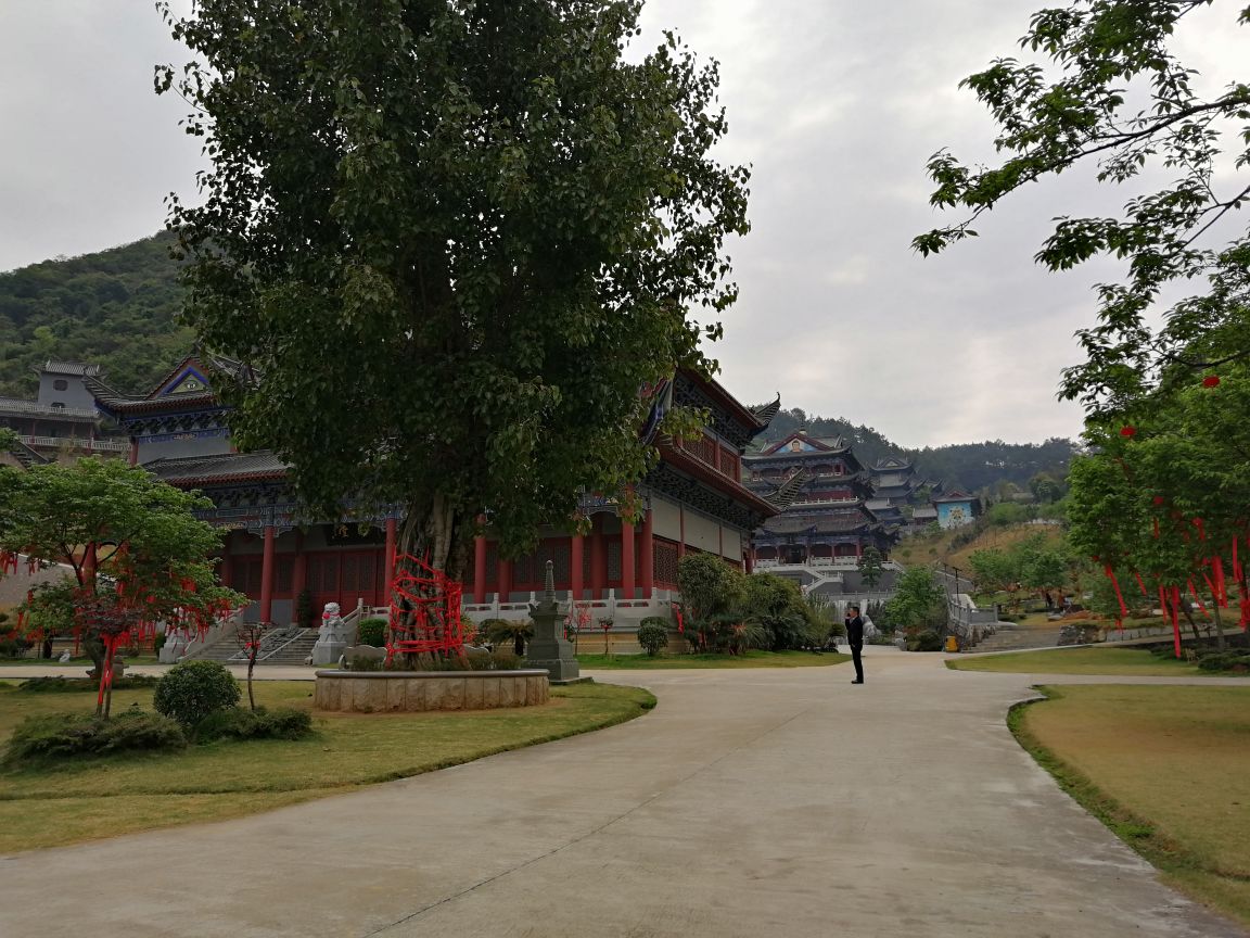 翁源东华寺攻略,翁源东华寺门票/游玩攻略/地址/图片/门票价格【携程