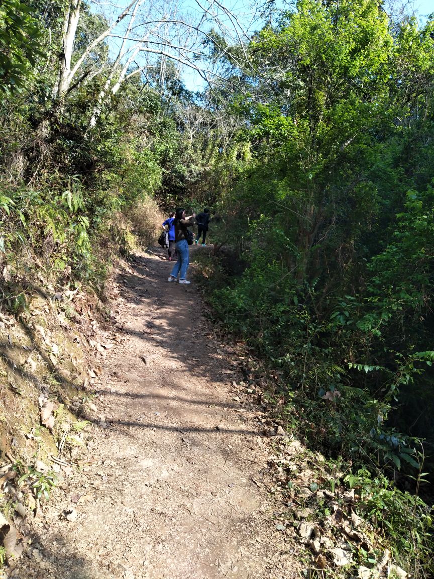 2019水坑_旅游攻略_门票_地址_游记点评,龙川旅游景点推荐 - 去哪儿