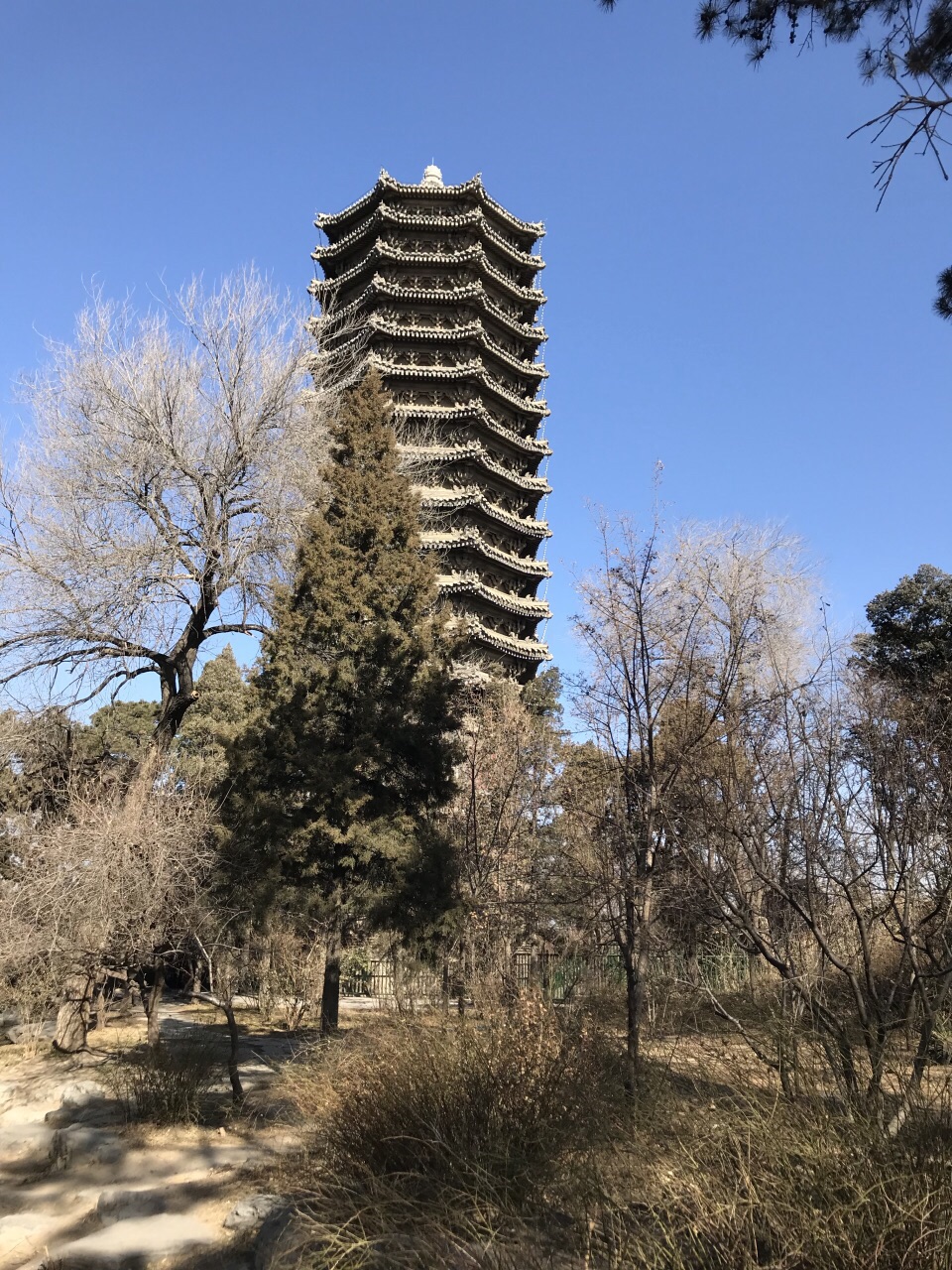 北京大学