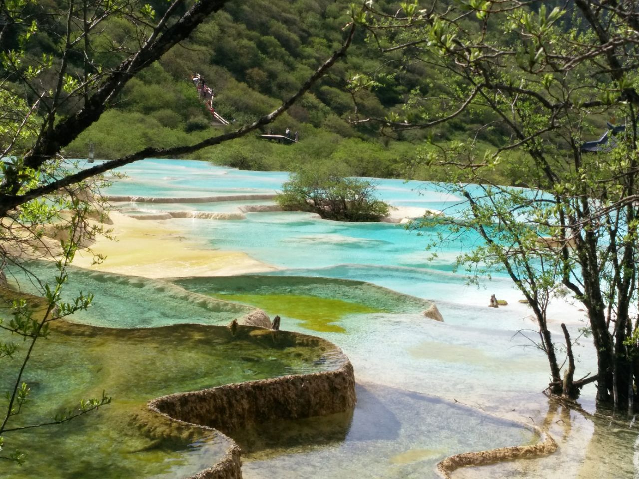 2019黄龙风景名胜区_旅游攻略_门票_地址_游记点评,区