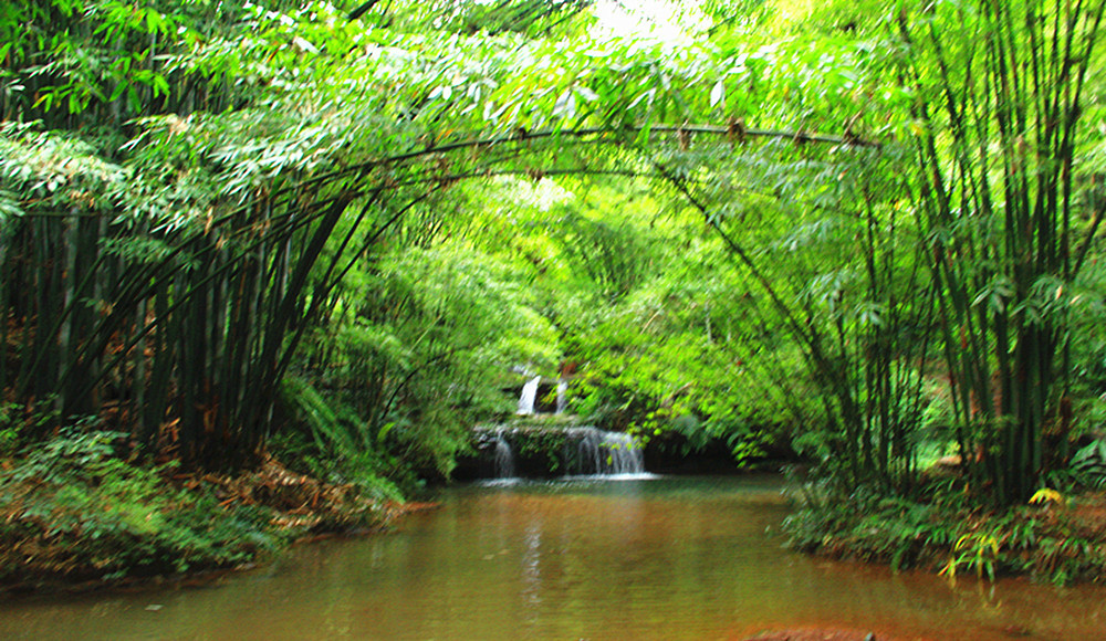 足迹四川蜀南竹海---翡翠长廊,竹海大峡谷,七彩飞瀑,忘忧谷 - 宜宾