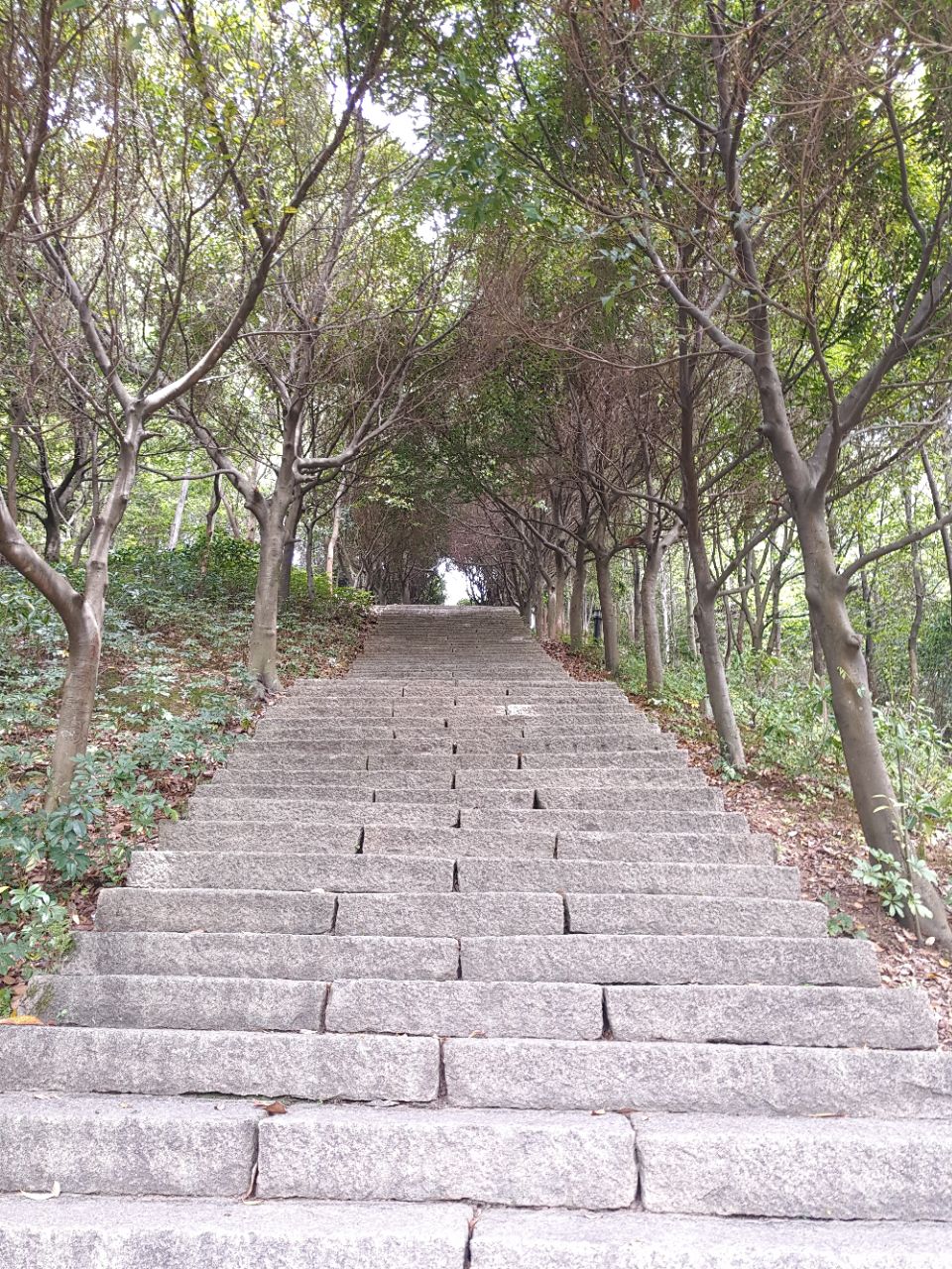 福安天马山风景区好玩吗,福安天马山风景区景点怎么样