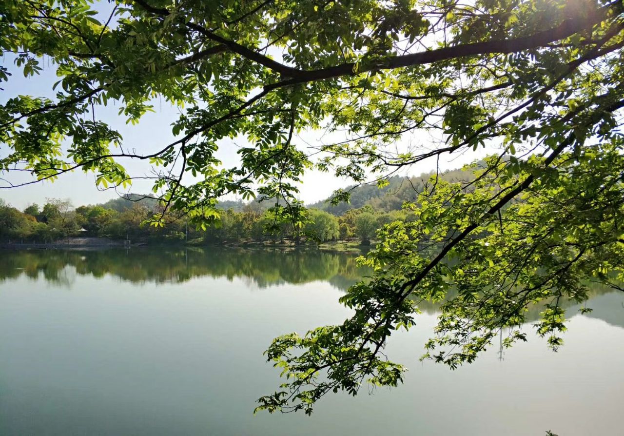 安吉灵峰山景区好玩吗,安吉灵峰山景区景点怎么样