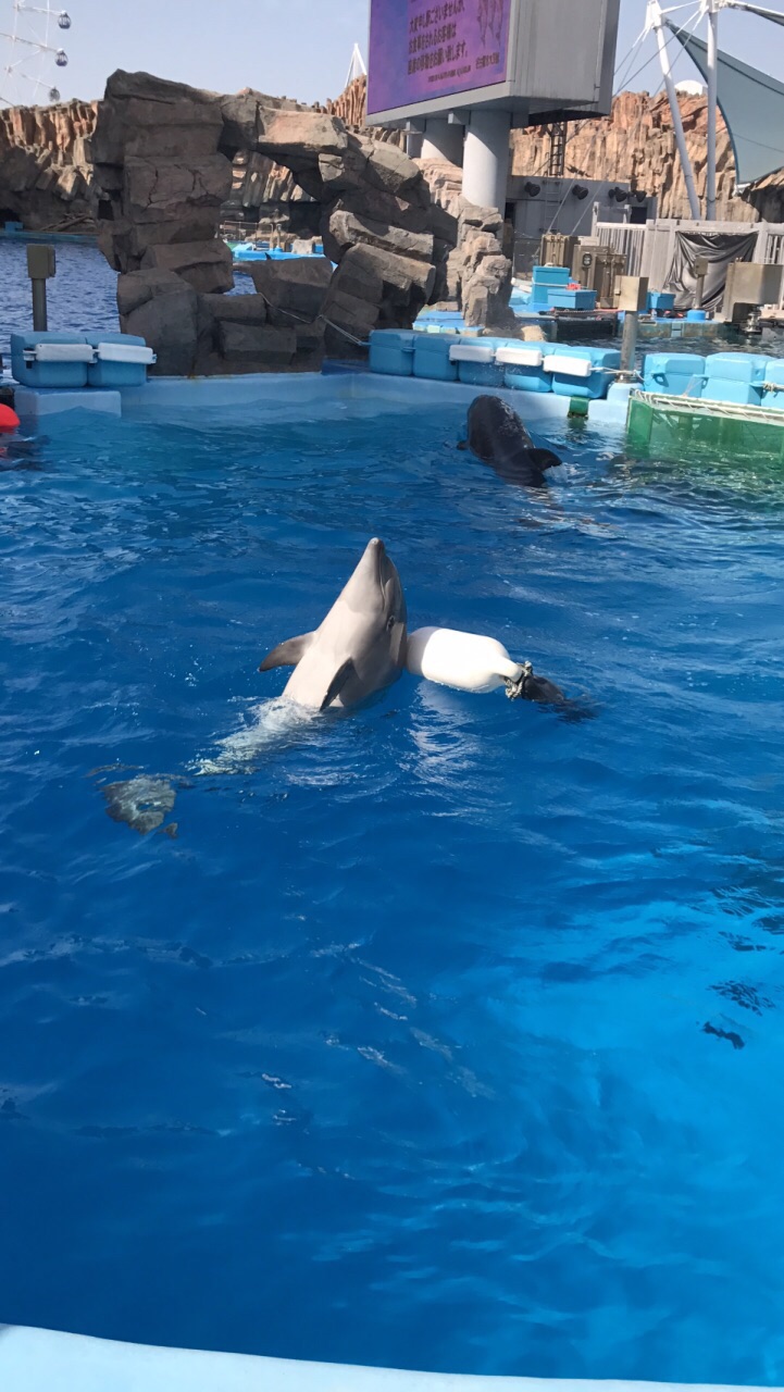 名古屋港水族馆