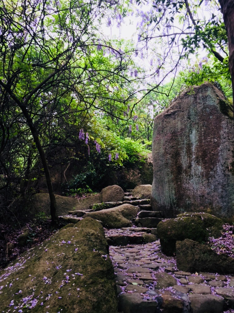 慈溪慈溪五磊山景区好玩吗,慈溪慈溪五磊山景区景点样
