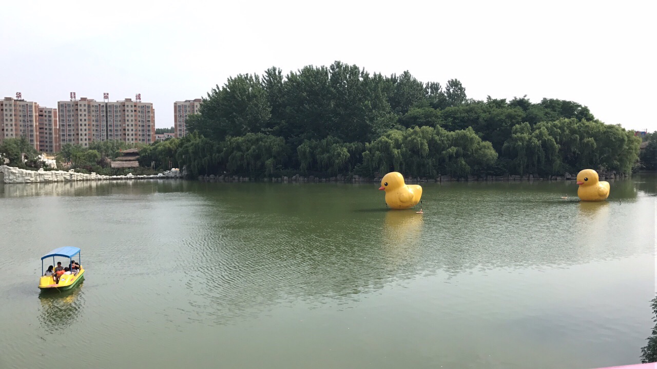 漯河神州鸟园好玩吗,漯河神州鸟园景点怎么样_点评