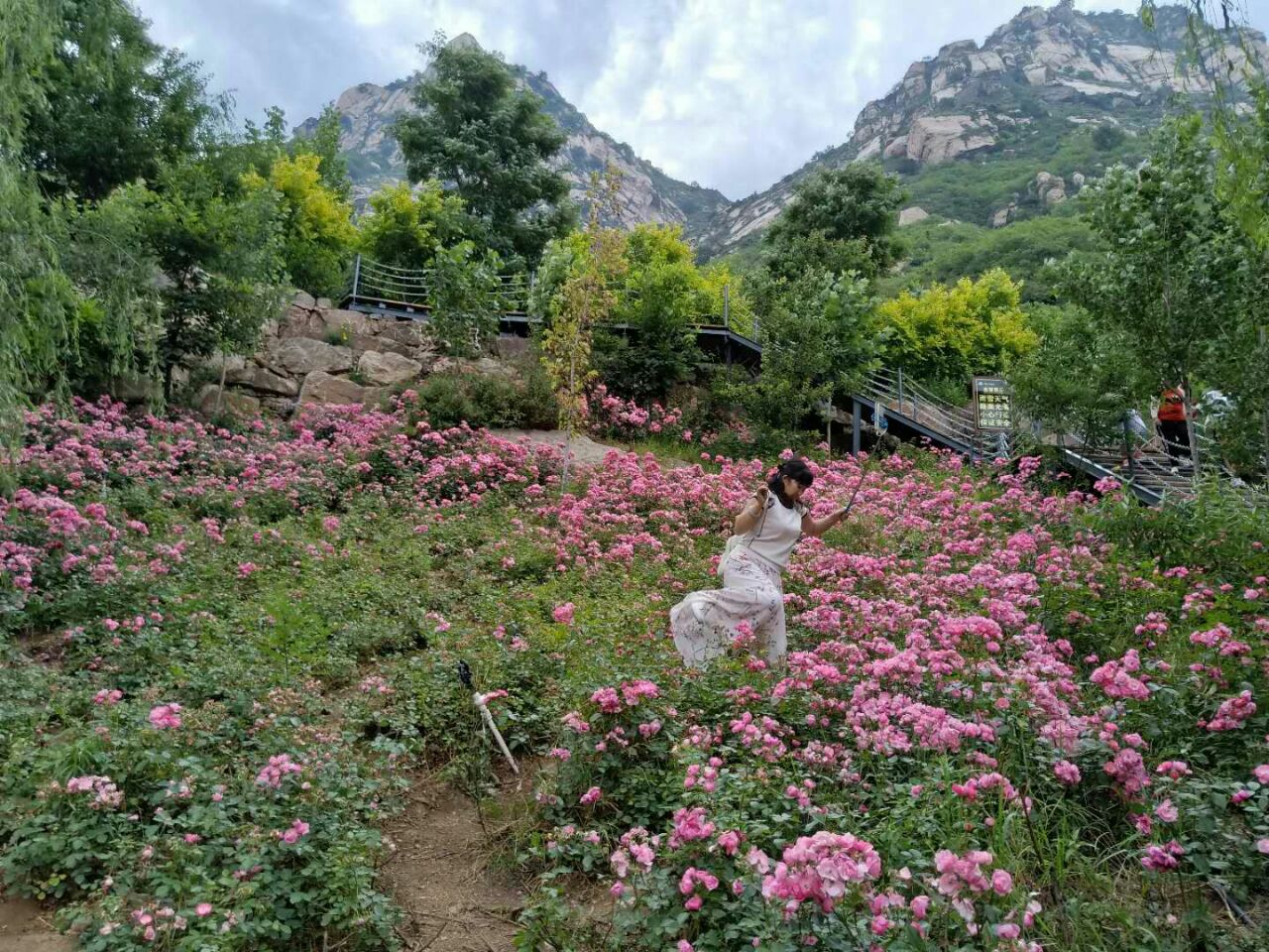 漫山花溪谷