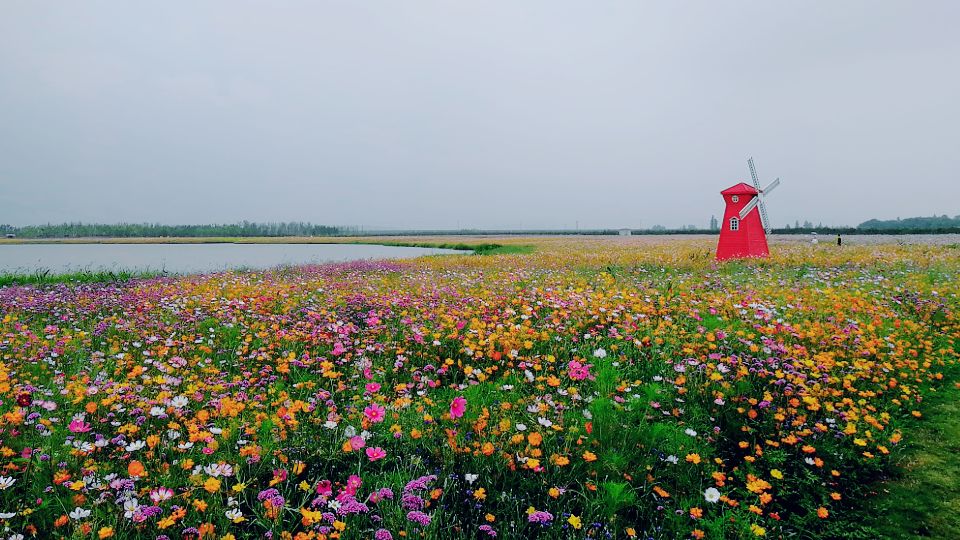 固城湖水慢城