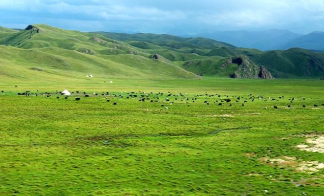 巴音布鲁克草原旅游景点攻略图