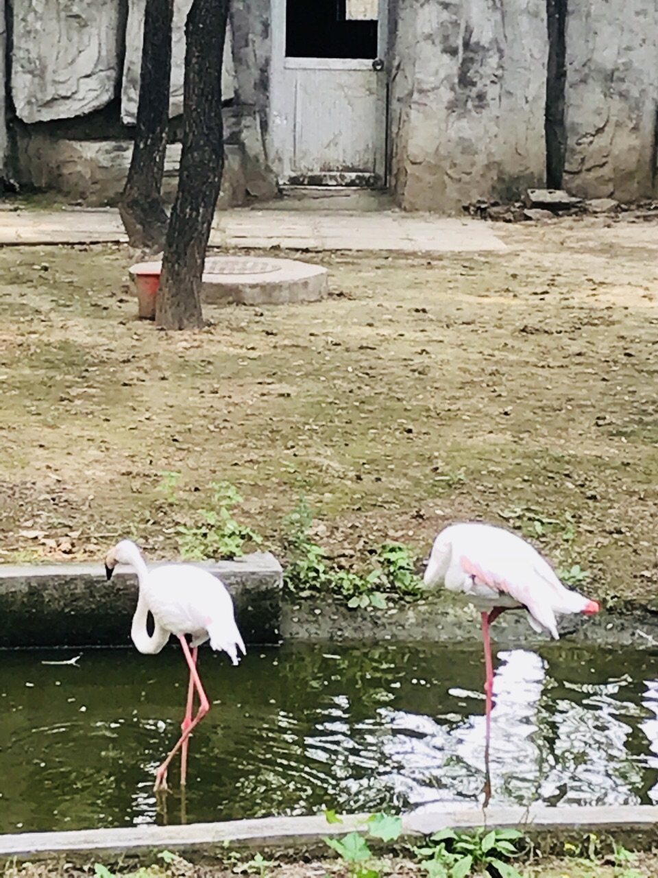 红螺湖鸟岛景区