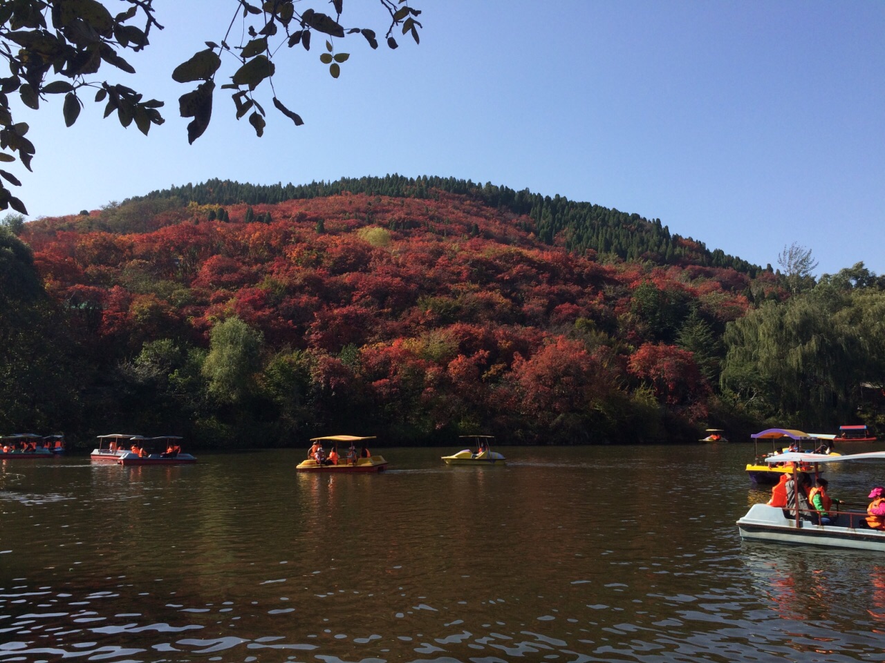 樱花山风景区