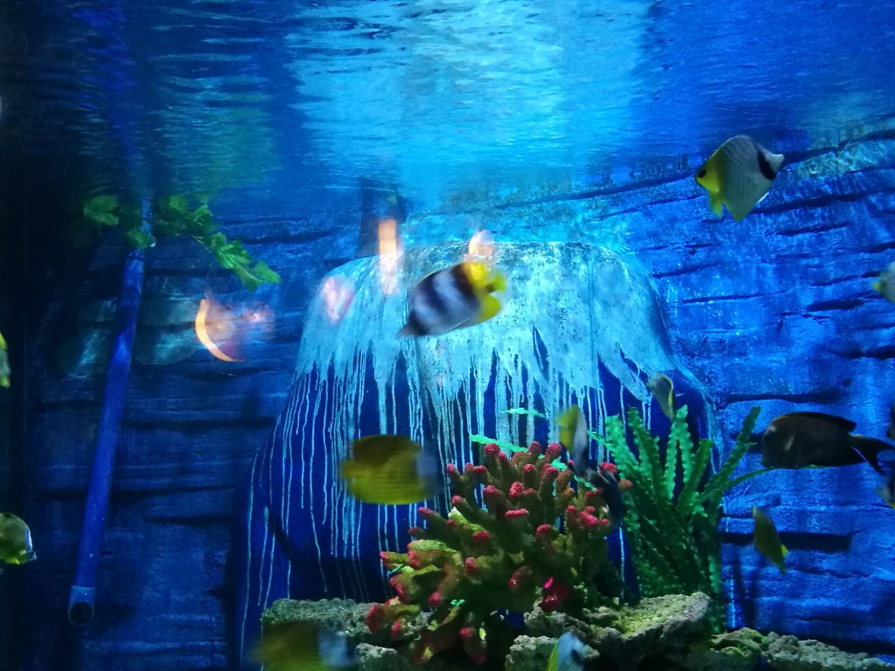 南宁海底世界
