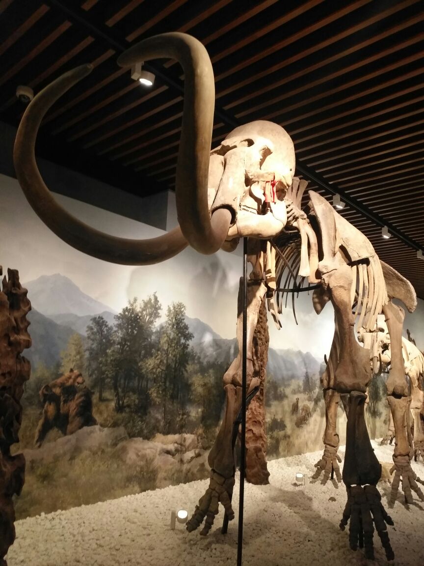 南京博物院旅游景点攻略图