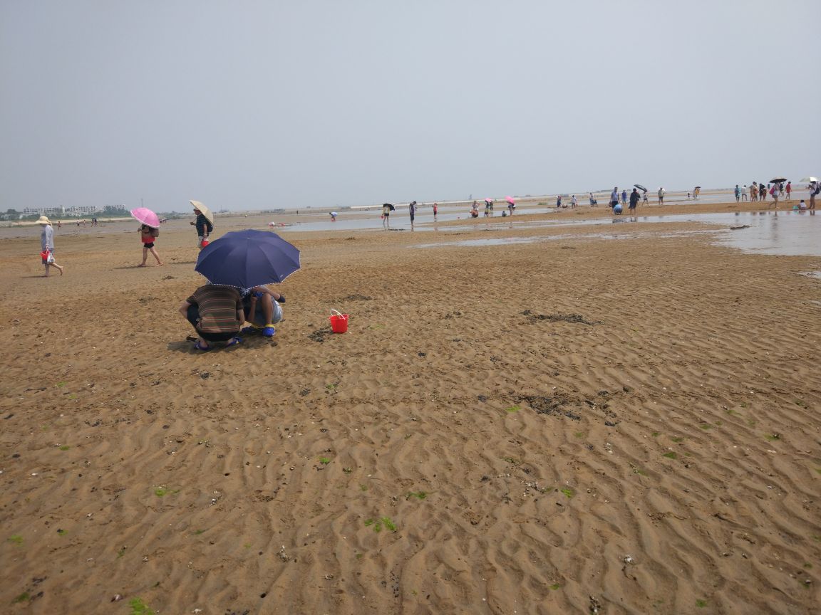 刘家湾赶海园