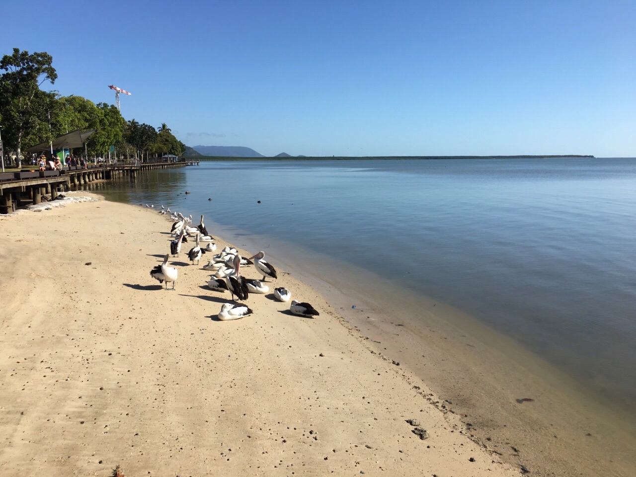 滨海大道旅游景点攻略图