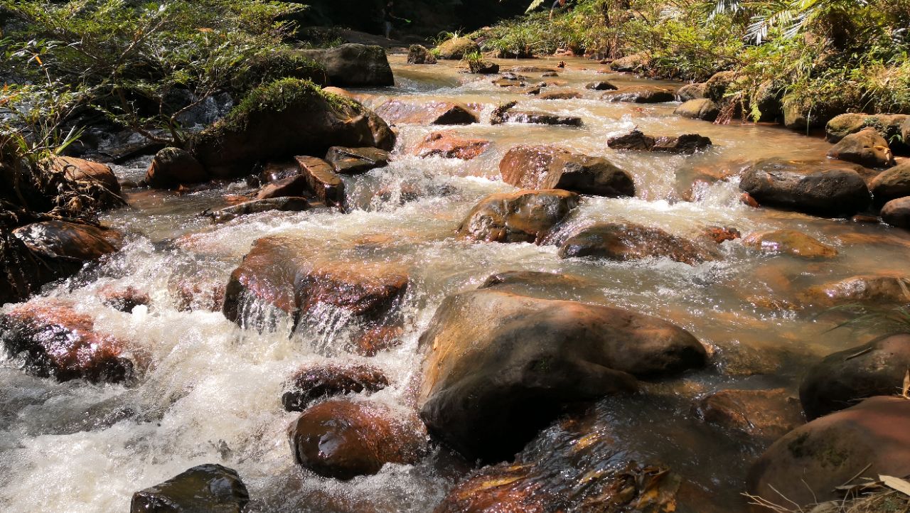 赤水四洞沟景区好玩吗,赤水四洞沟景区景点怎么样