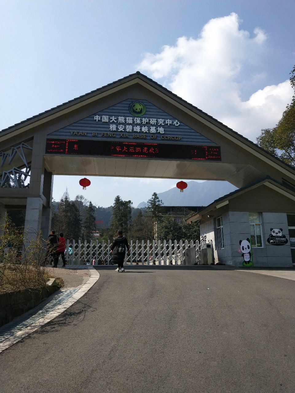 【携程攻略】雅安碧峰峡野生动物园景点,熊猫栖息地