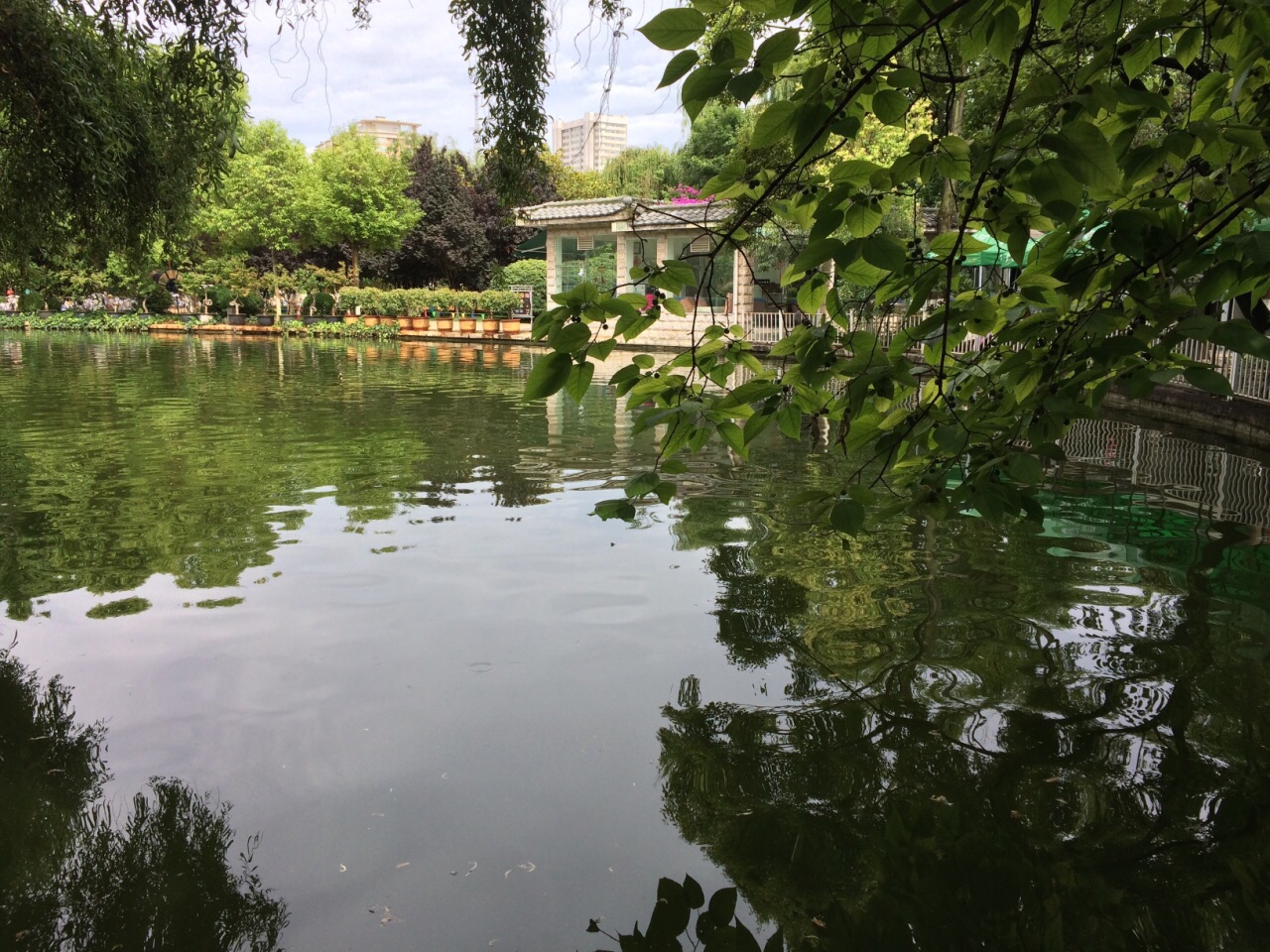 翠湖公园