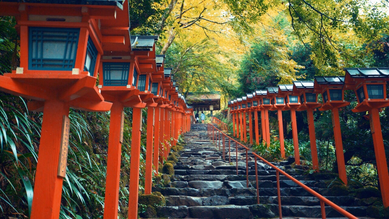 2019东福寺_旅游攻略_门票_地址_游记点评,京都旅游景点推荐 - 去哪儿