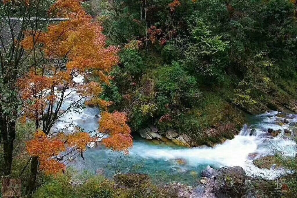 天全二郎山喇叭河风景区好玩吗,天全二郎山喇叭河风景区景点怎么样