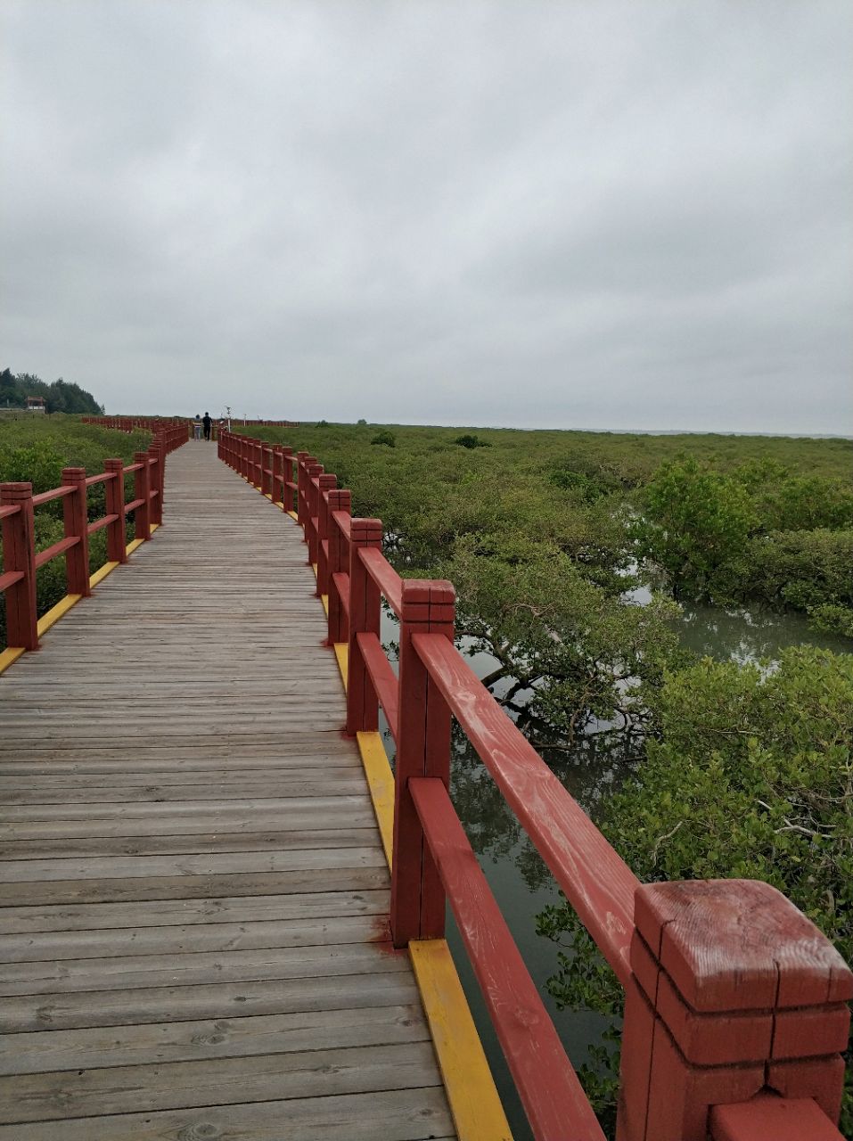 北海金海湾红树林生态旅游区