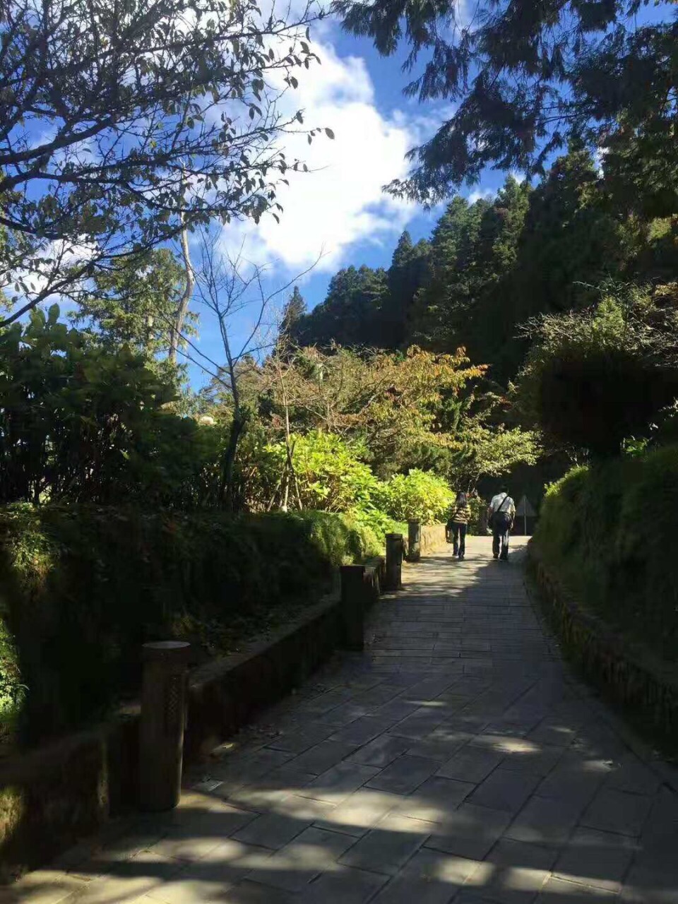阿里山国家风景区