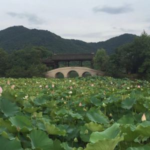 2019湘湖_旅游攻略_门票_地址_游记点评,萧山旅游景点