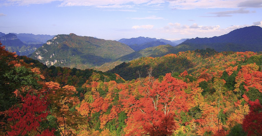 光雾山旅游景点攻略图