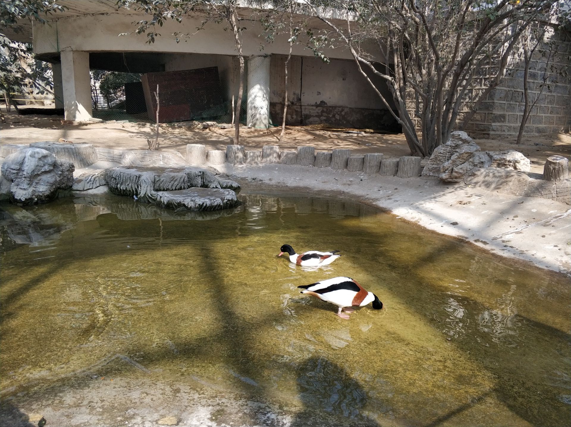 济南动物园jinan zoo