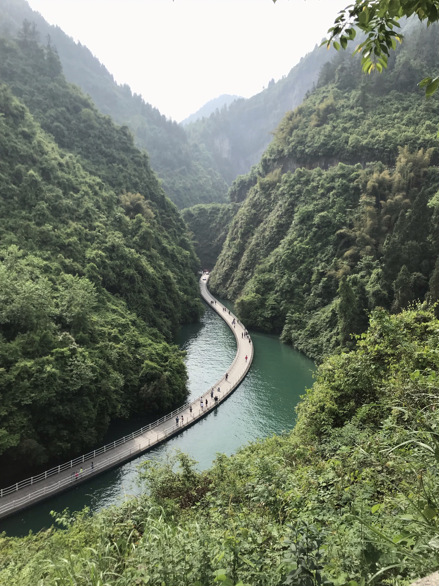 wech****663974 太坑人了,100元,就是开车走了5分钟就完了,景区脏乱