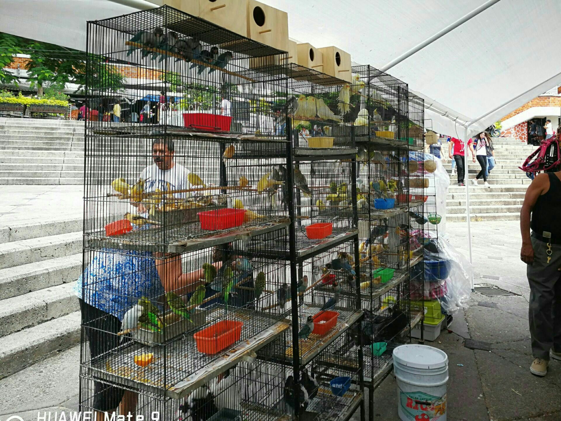 delicity market