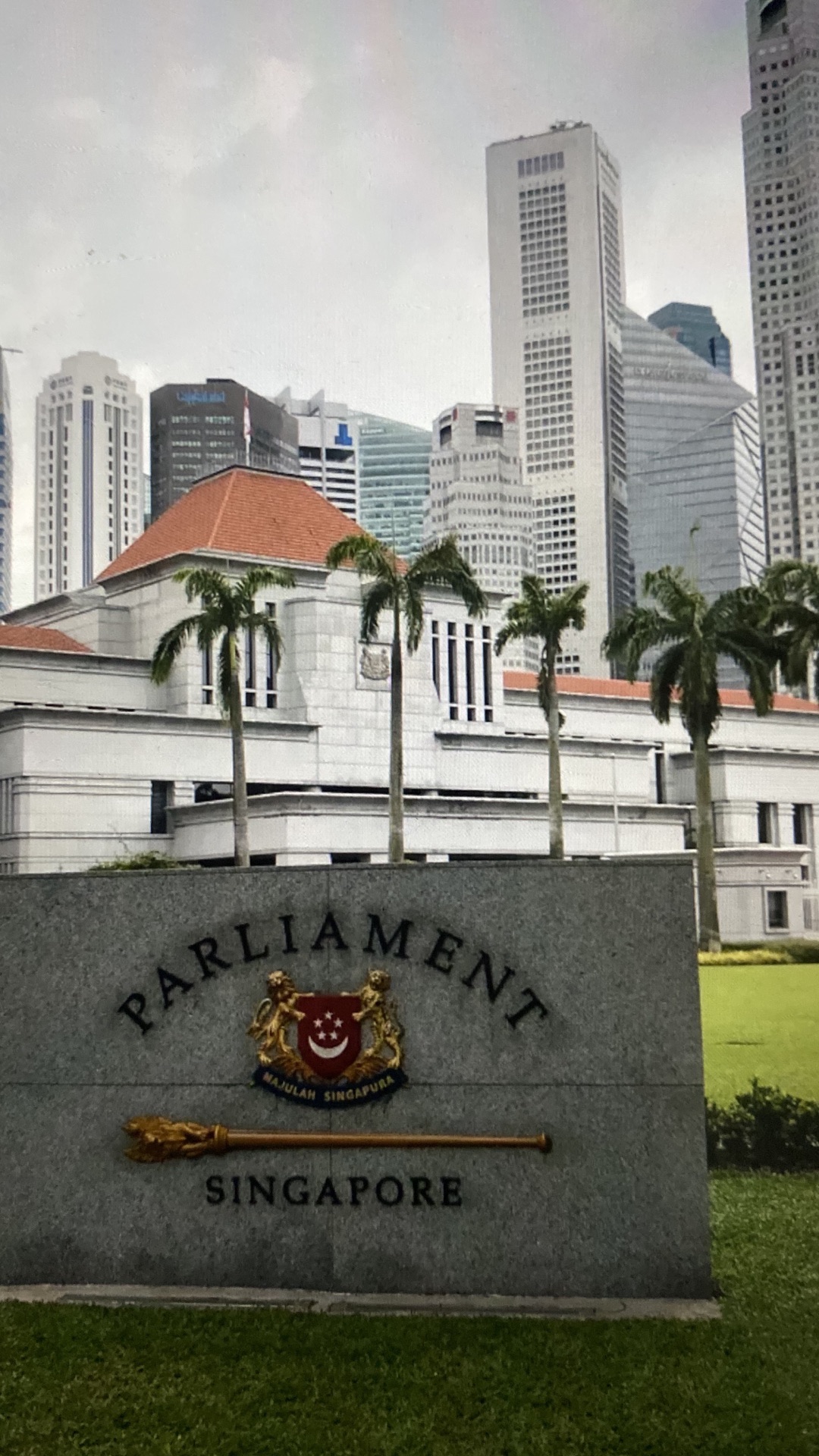 【携程攻略】新加坡政府大厦大草场景点,一个花园城市,最少不了绿植