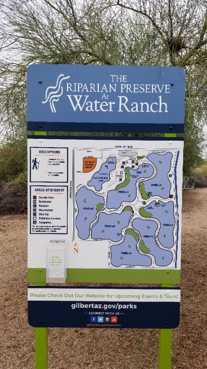 riparian preserve at water ranch