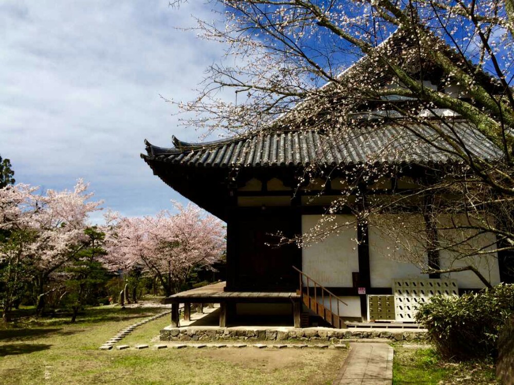 【携程攻略】奈良东大寺景点,奈良东大寺是日本华严宗