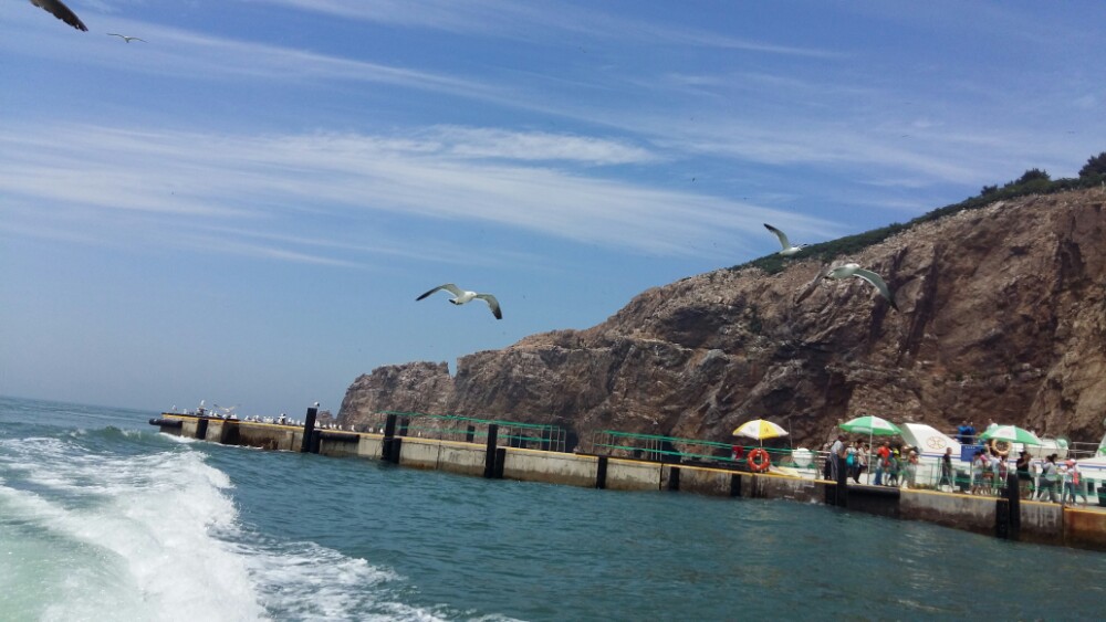 荣成海驴岛好玩吗,荣成海驴岛景点怎么样_点评_评价