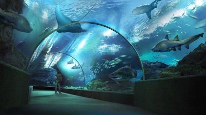 曼谷6日5晚半自助游·英迪格无线路酒店+接机+暹罗海洋世界-【携程旅游】