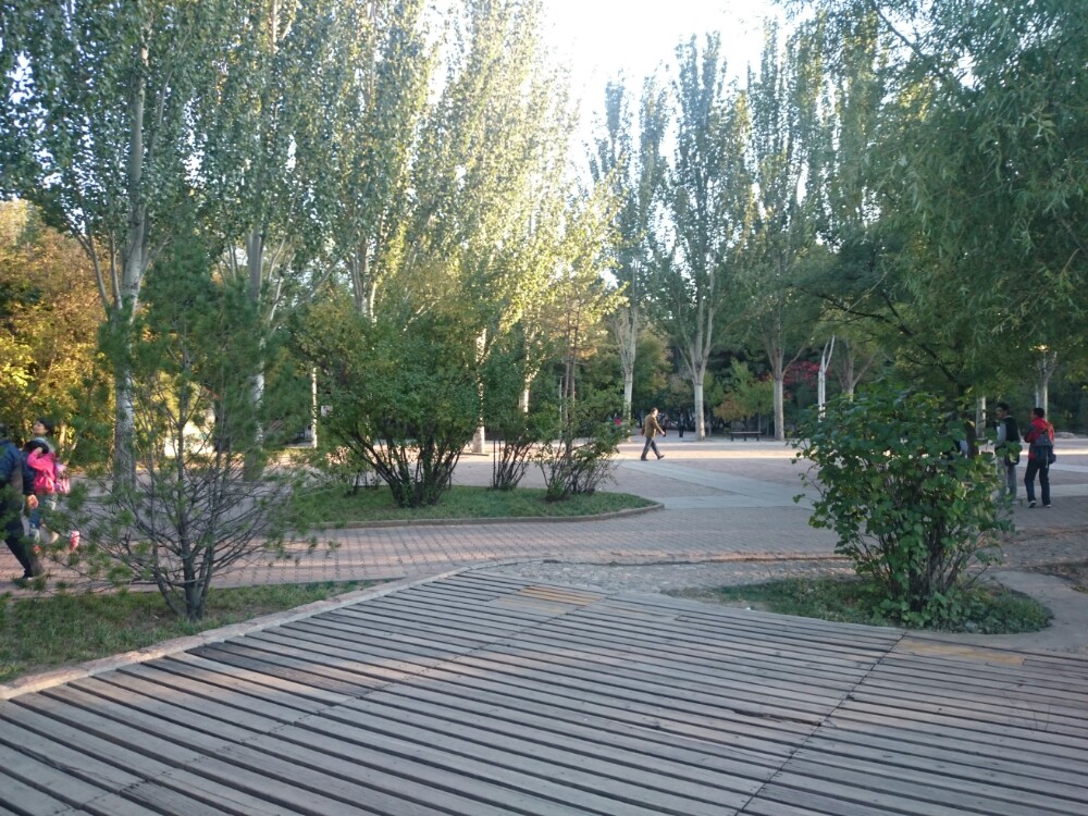 青城公园
