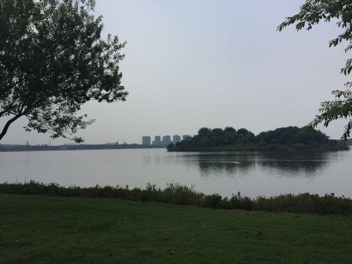 金仓湖公园