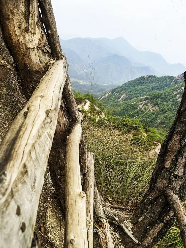 绩溪龙须山好玩吗,绩溪龙须山景点怎么样_点评_评价