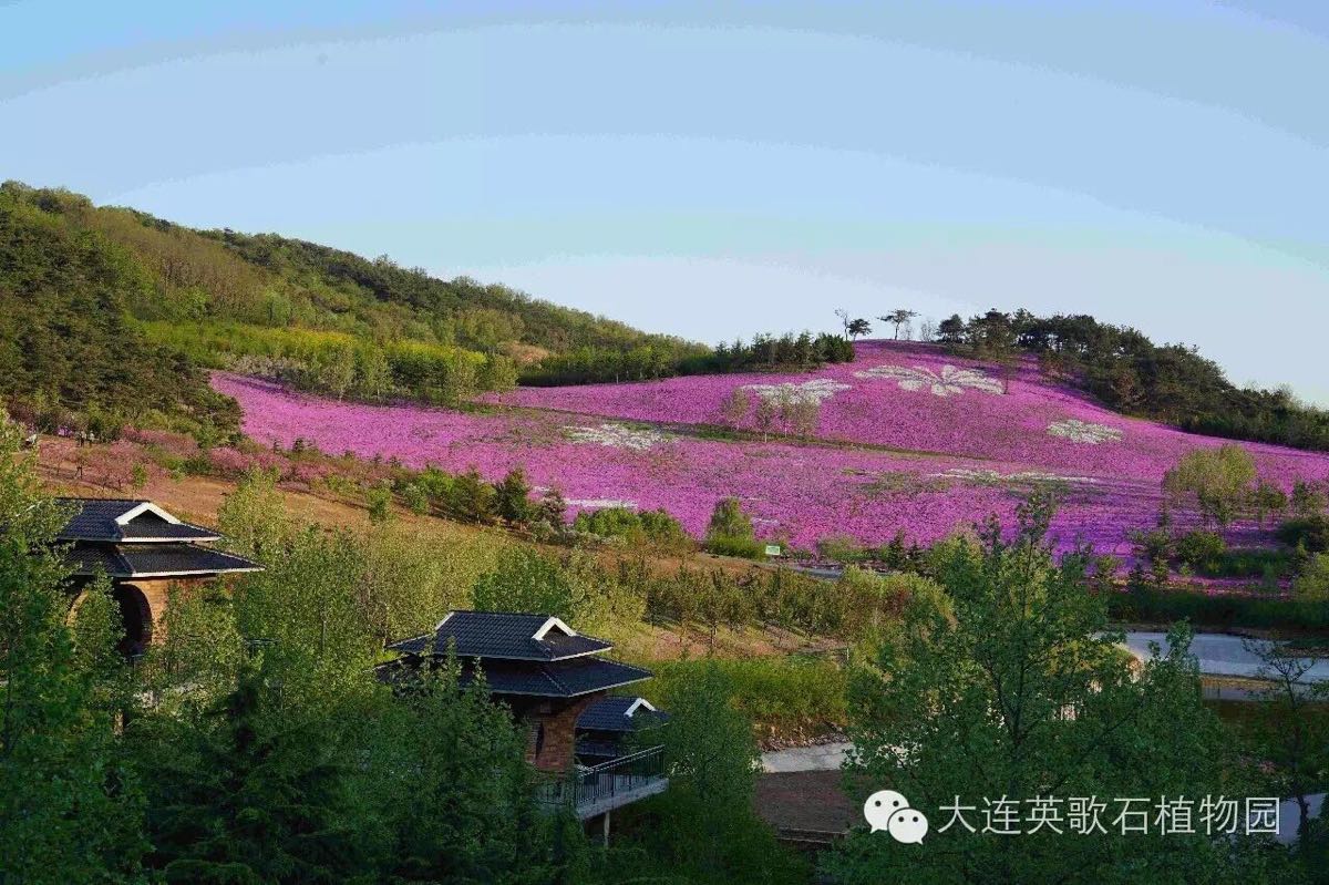 2019英歌石植物园_旅游攻略_门票_地址_游记点评,旅顺旅游景点推荐