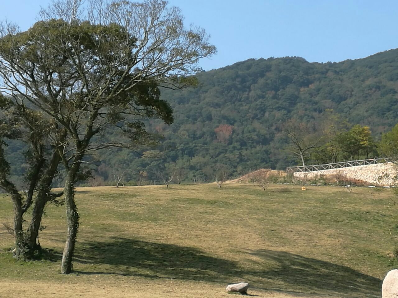 里沙生态园