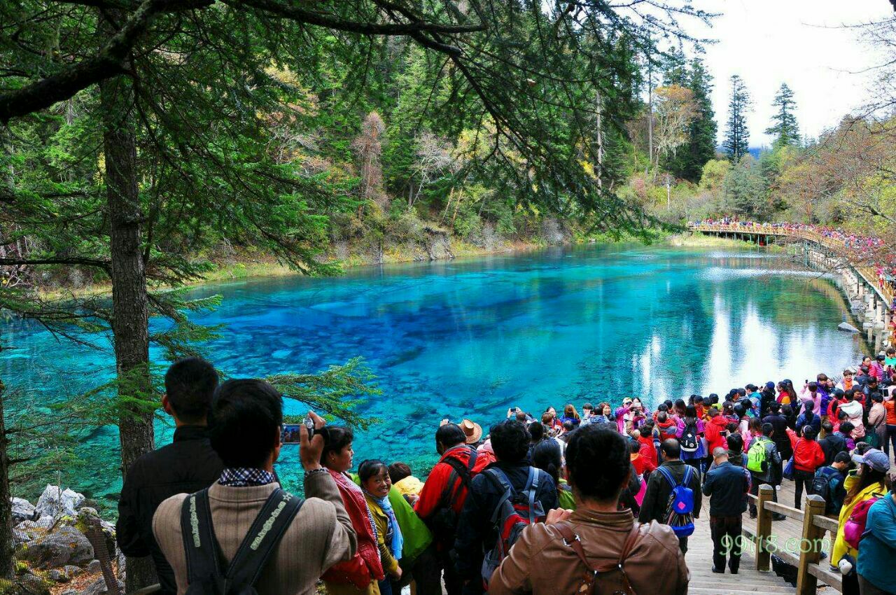 2019五彩池_旅游攻略_门票_地址_游记点评,九寨沟旅游景点推荐 去