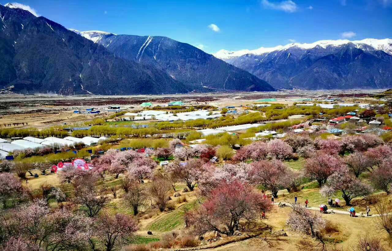 嘎拉桃花村