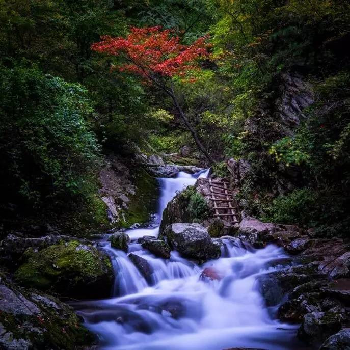 陕西美景在陕南 陕西人都知道,陕西的自然美景主要在陕南,那到陕南看