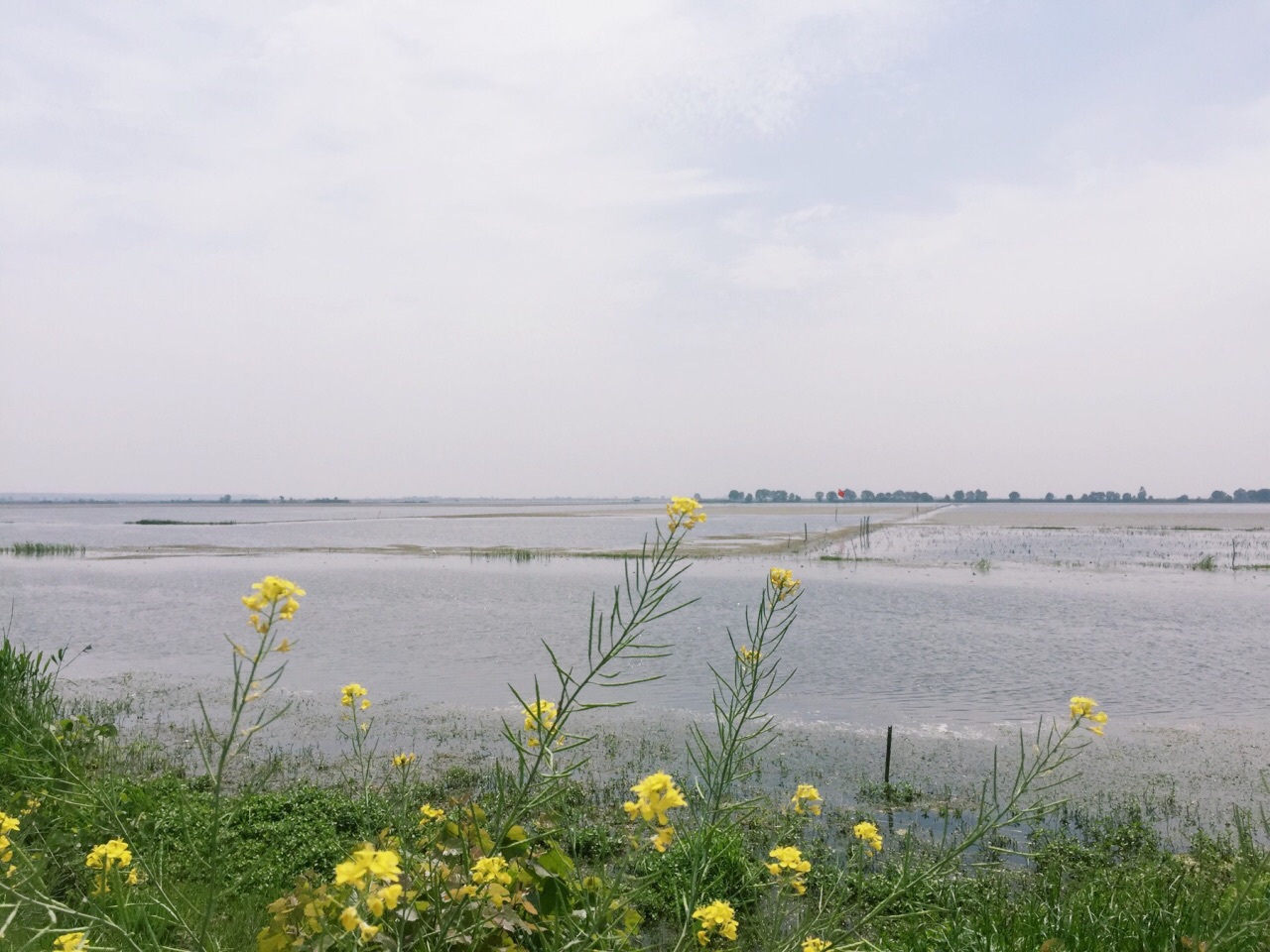 泗洪洪泽湖湿地旅游景点攻略图